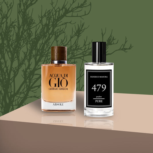 GIORGIO ARMANI ACQUA DI GIO ABSOLU INSPIRED - PURE 479