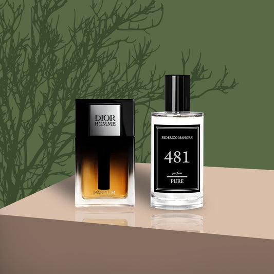 CHRISTIAN DIOR HOMME INSPIRED - PURE 481